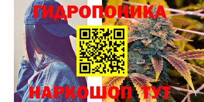 ГАЛЛЮЦИНОГЕННЫЕ ГРИБЫ Мариинск