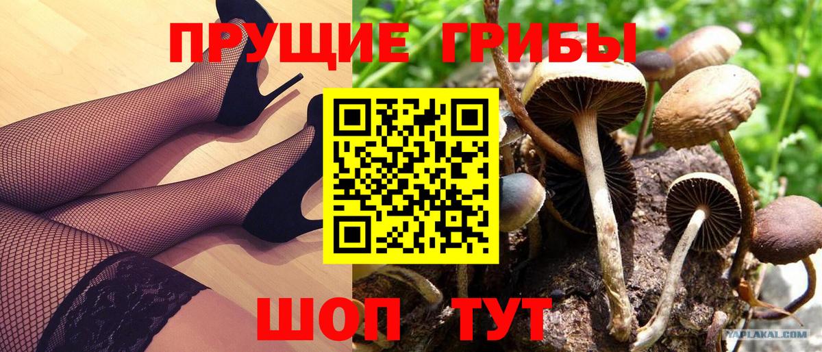 Псилоцибиновые грибы Magic Shrooms Троицк