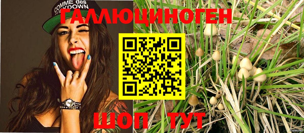 Троицк  Галлюциногенные грибы MAGIC MUSHROOMS  Вход с VPN 